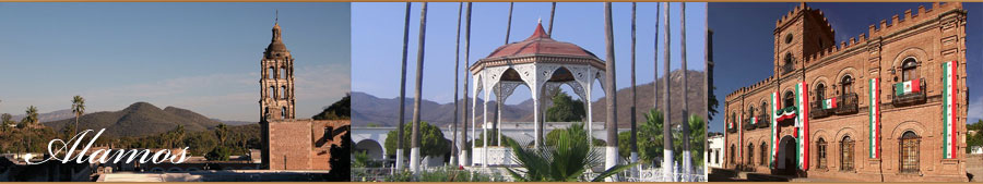 Alamos Header Image